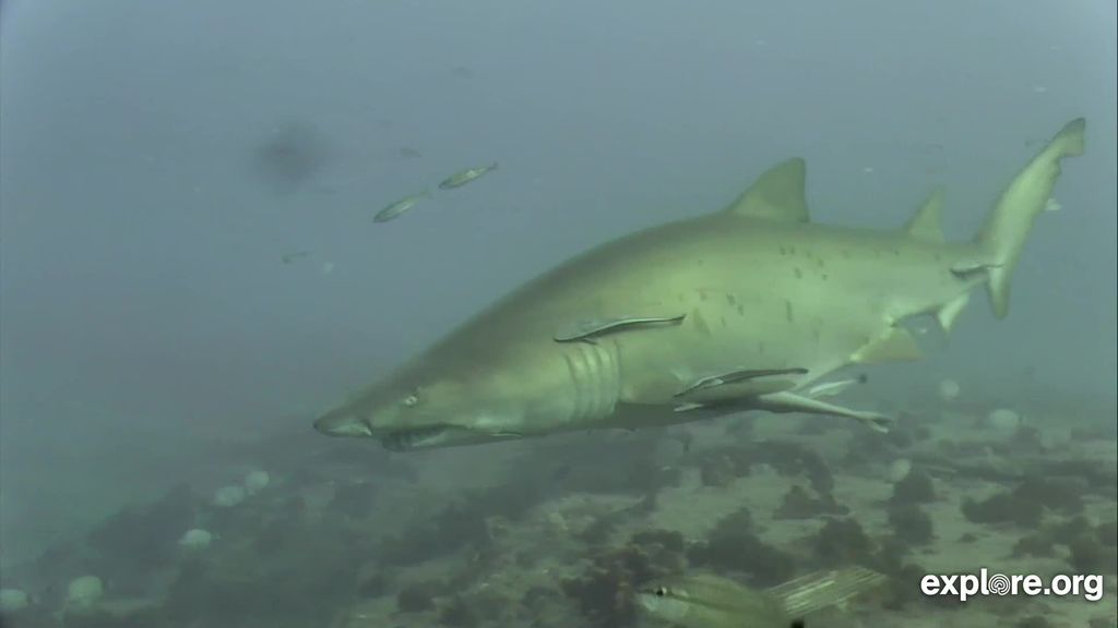 1712aebf-3918-47db-bd93-b1acfdb17da9