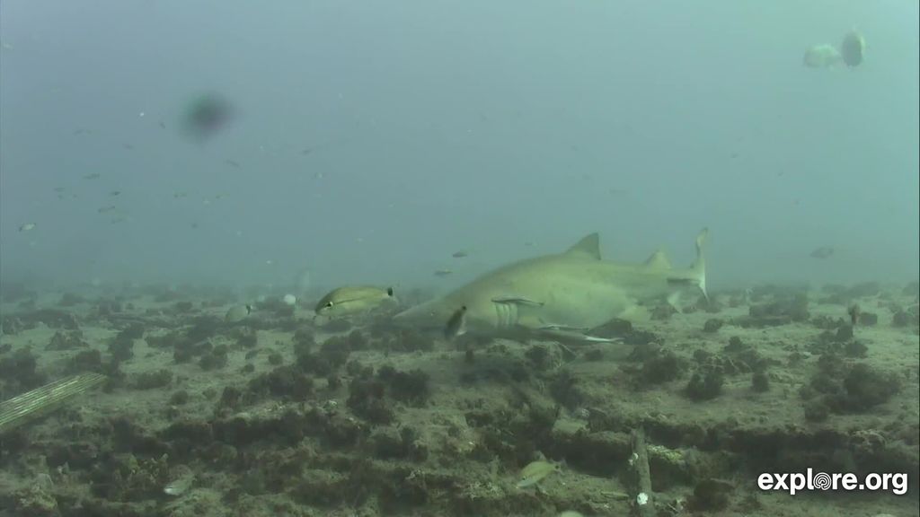 1712aebf-3918-47db-bd93-b1acfdb17da9