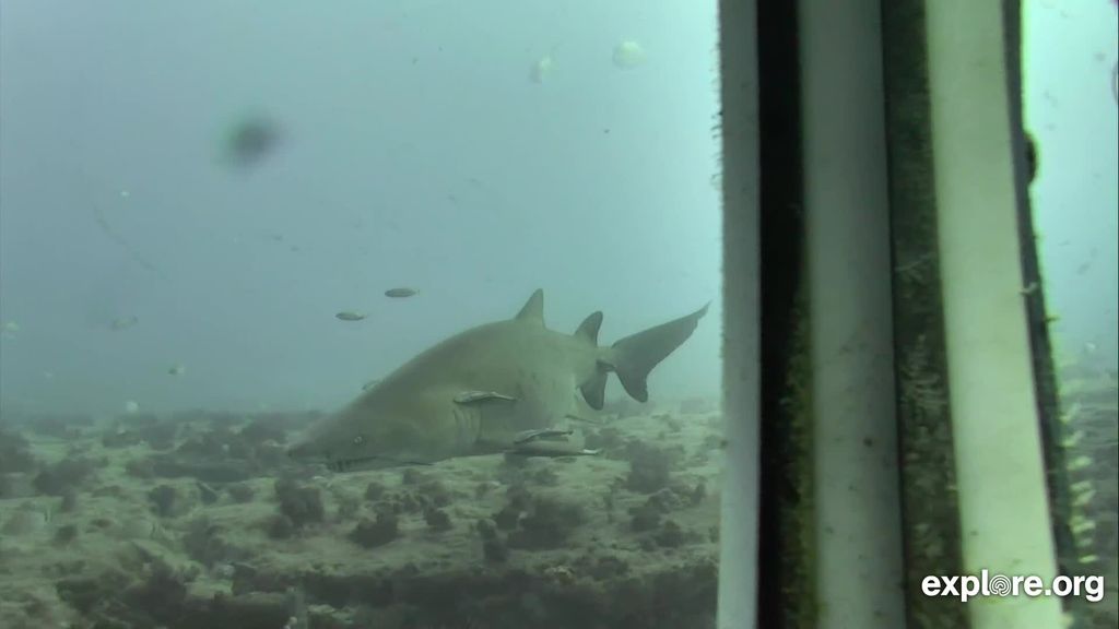 1712aebf-3918-47db-bd93-b1acfdb17da9