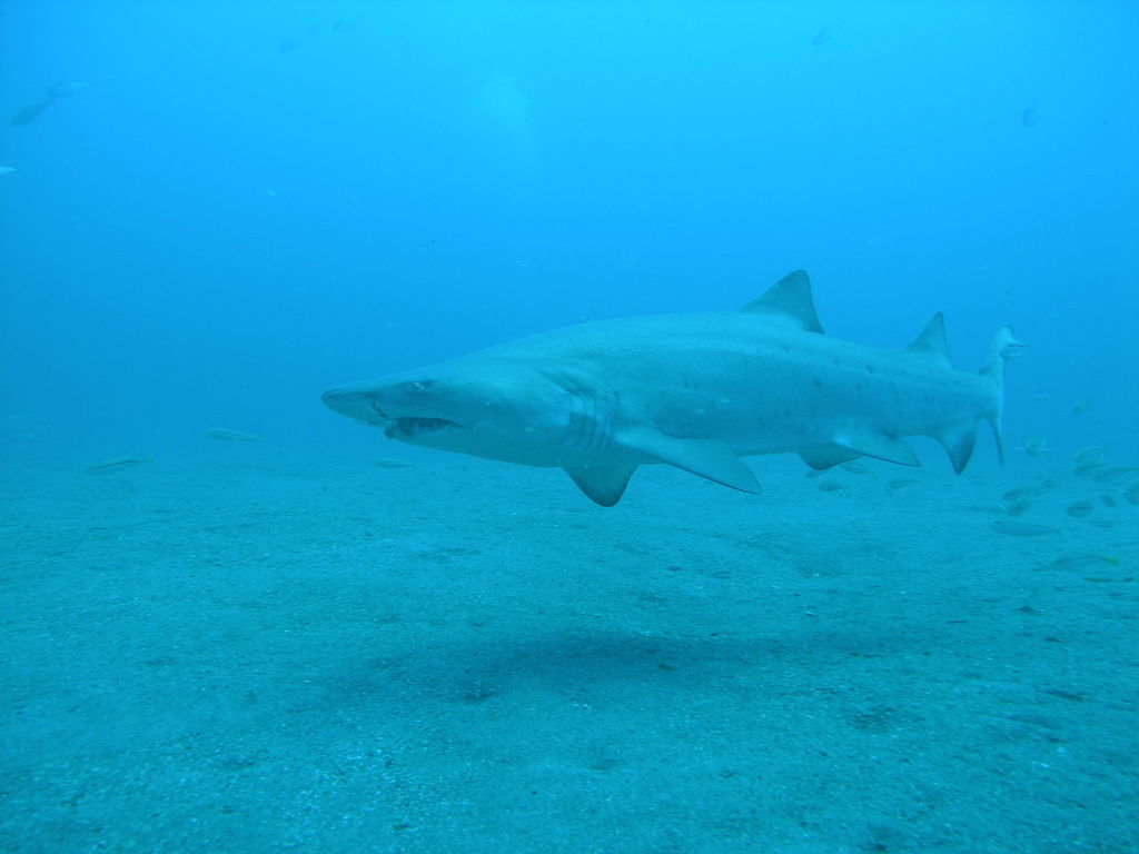 48947309-083c-4361-98f0-6d0ee804b444