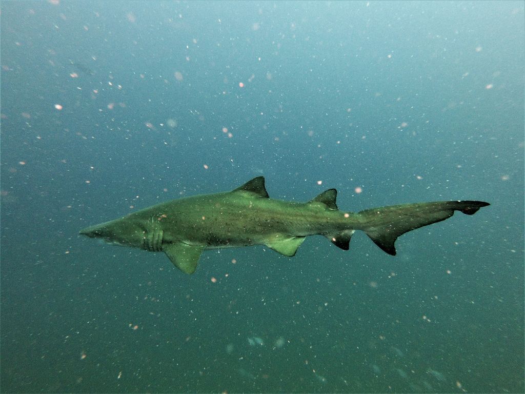 1f41c22f-1596-42aa-9747-ad432ba33f18