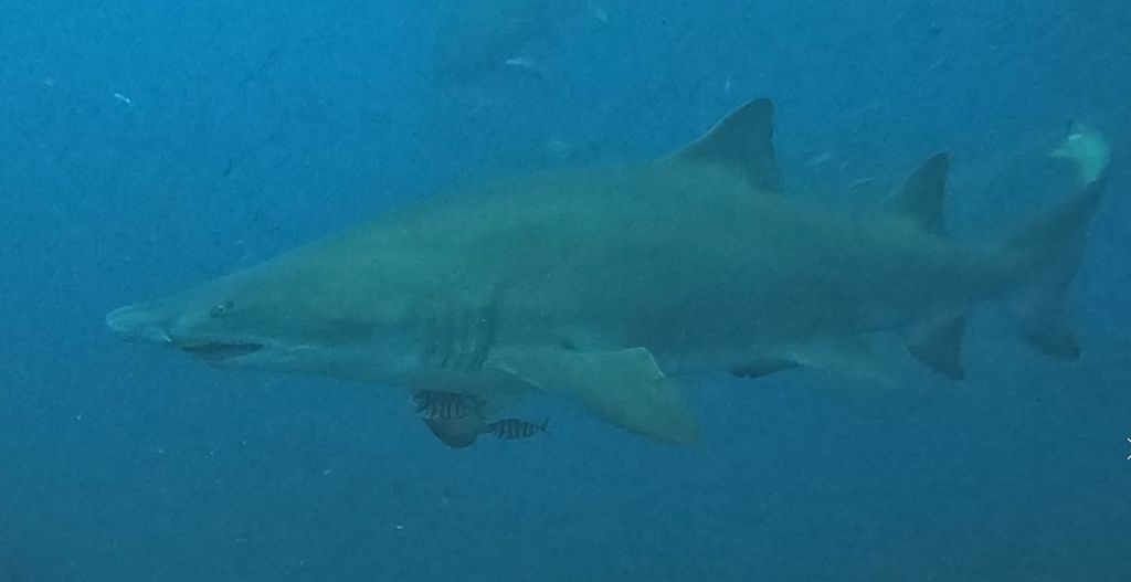 0406d6d5-f1ad-4b8d-8785-44caf7c8b9f3