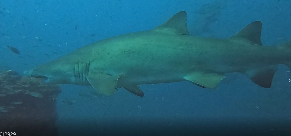 0406d6d5-f1ad-4b8d-8785-44caf7c8b9f3