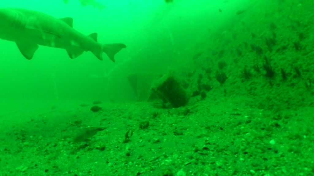 63c818d1-314c-459d-85f5-570de7e74f92