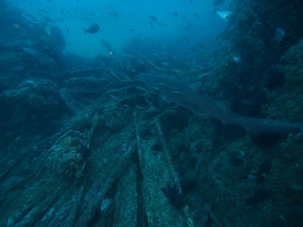 6221f665-d977-4c98-be60-706884b337d9