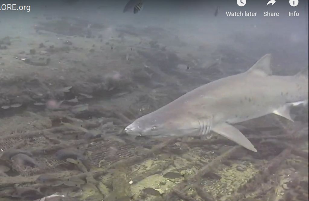 8ebb90b9-31d1-4ba8-a547-3491fcb5ce5e