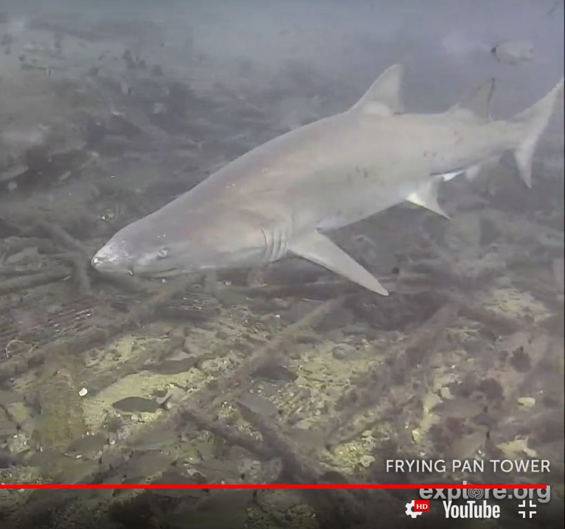 8ebb90b9-31d1-4ba8-a547-3491fcb5ce5e