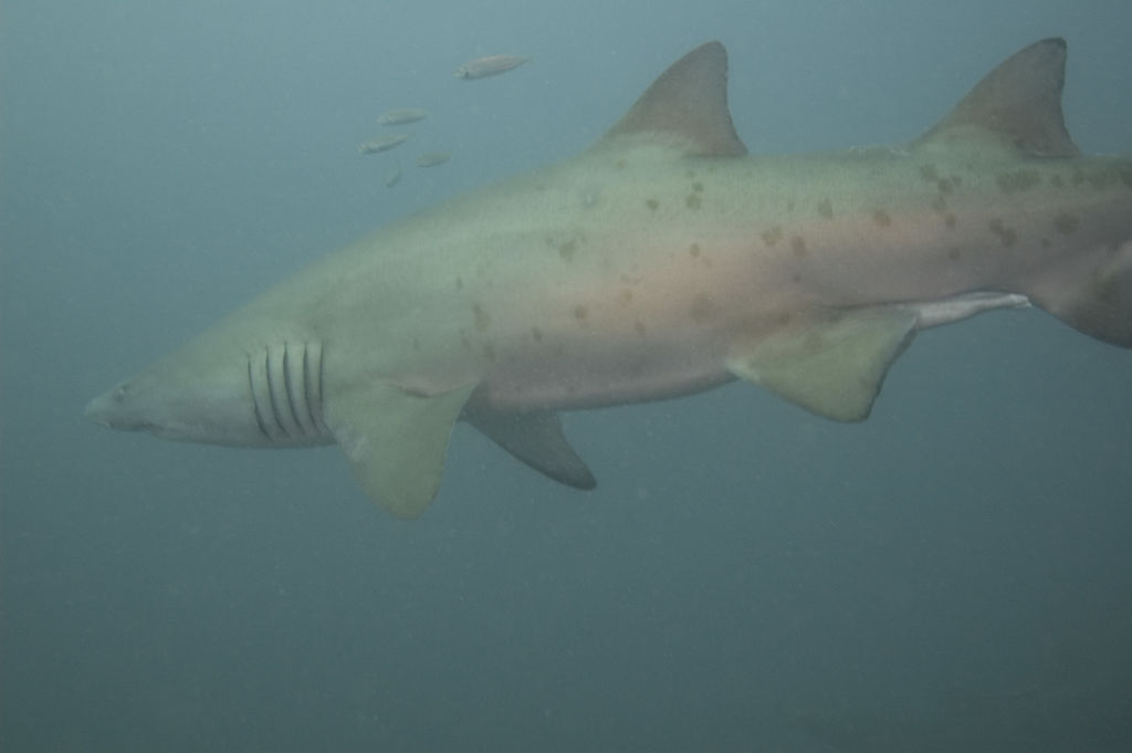 2c8042db-afc2-46fc-83cb-9535927f8de6