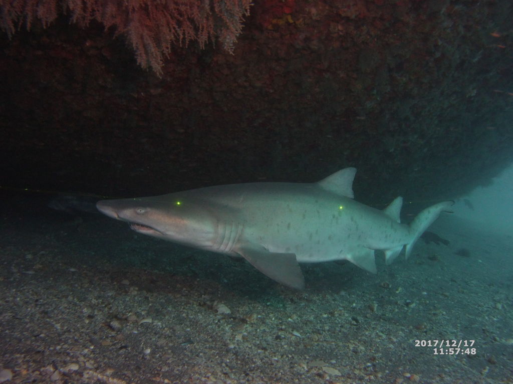 3461f6d4-0c6c-4898-8c87-3dd68632c0dd