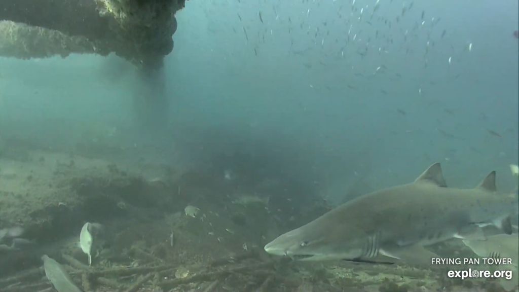 6a2d47f9-5660-4cf6-8048-d9c886842e99