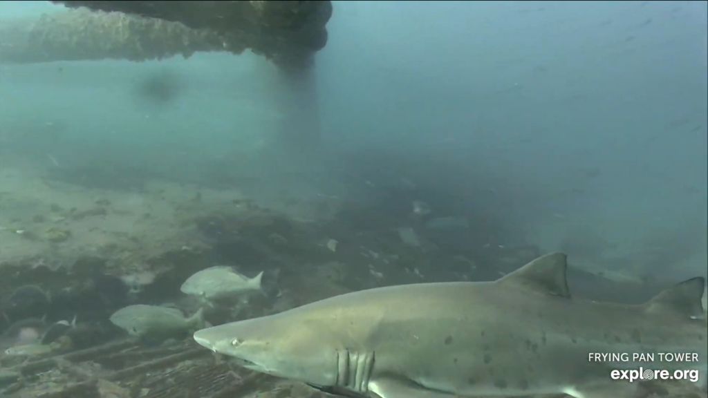 6a2d47f9-5660-4cf6-8048-d9c886842e99