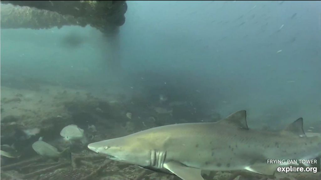 6a2d47f9-5660-4cf6-8048-d9c886842e99