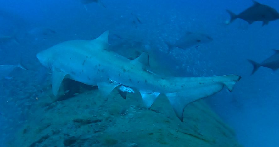 bb63a633-dc80-4561-8889-3b351c186987