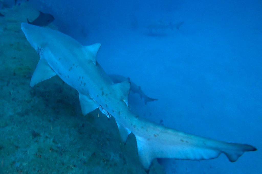 bb63a633-dc80-4561-8889-3b351c186987