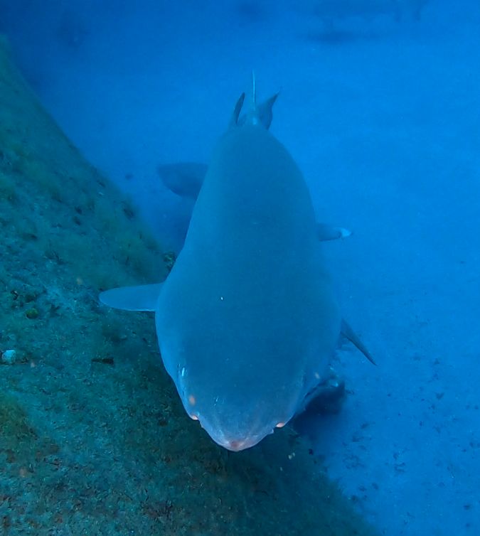 bb63a633-dc80-4561-8889-3b351c186987