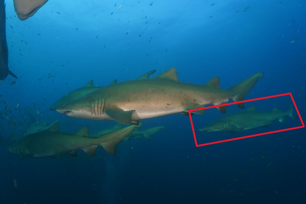 5ab11876-8fb5-49bd-a973-cfefb9fee2a5