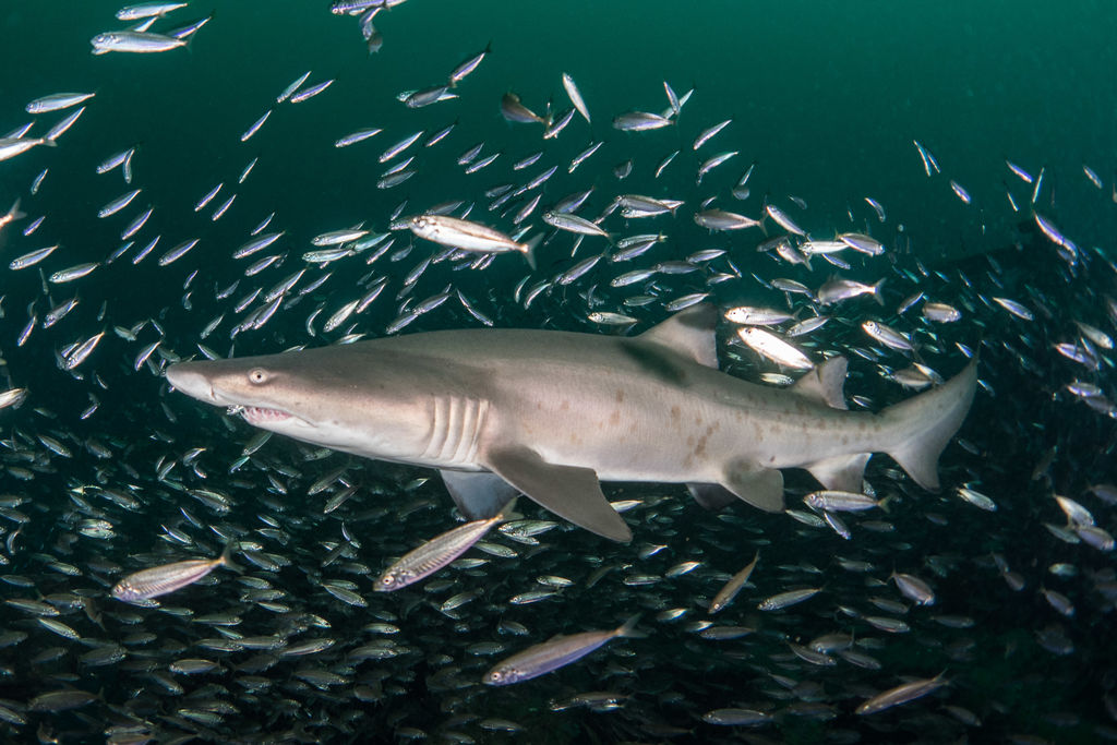 634b61b2-361a-4e4b-885f-0af9292dadf7