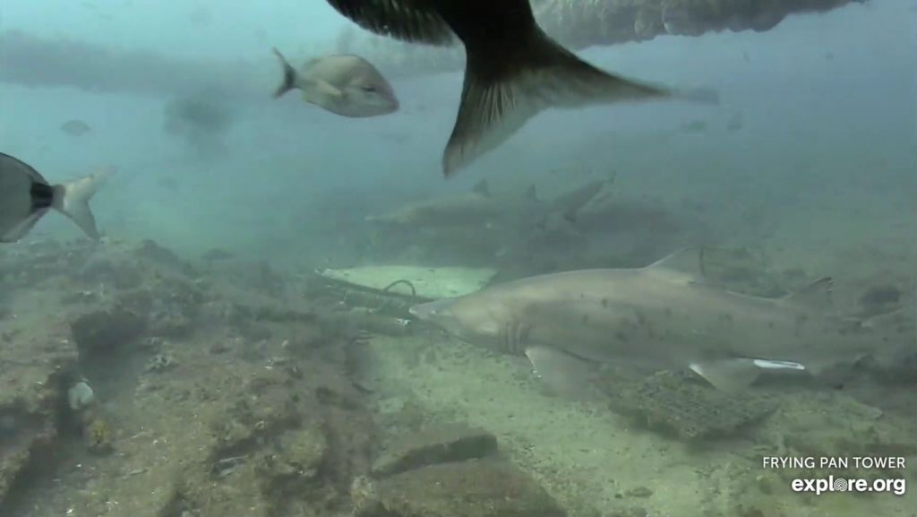 f5425d8a-e987-415f-8d5c-d4fa777746f2