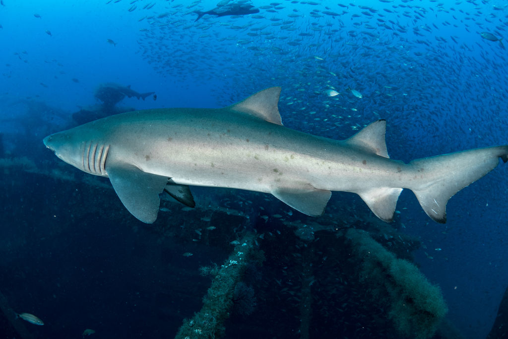 4c3201b3-0aae-45ea-ba2a-56cd02589b47