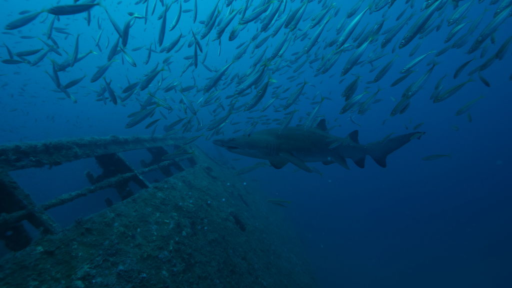 39cc4854-1dee-482b-80fb-3a7fef41229a