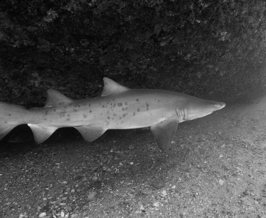 4d4a902f-3b6f-4e14-9dea-4b4c486977f9