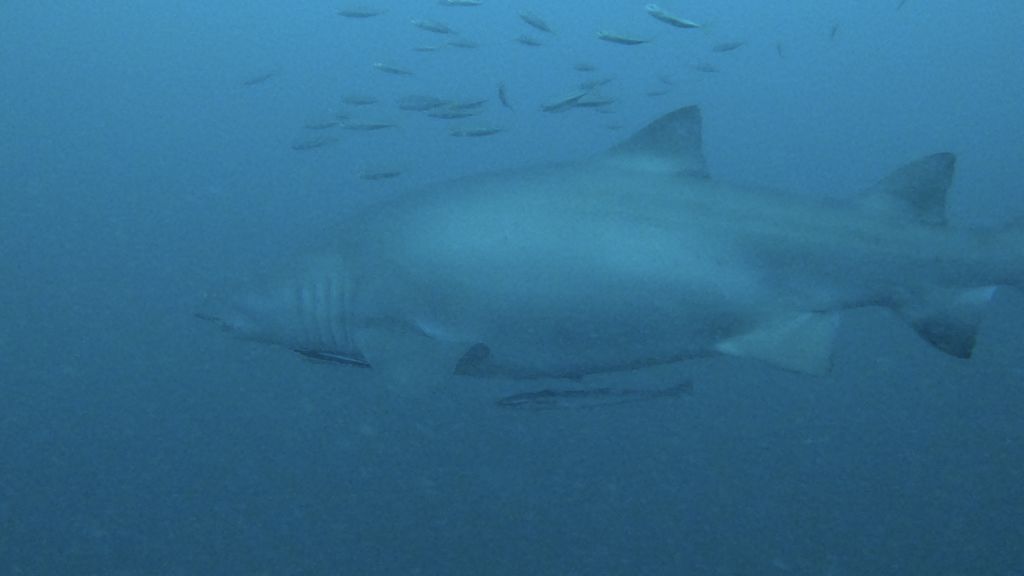 cd4a2677-168d-4ae4-a1c2-95a17a2706a7