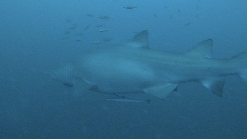 cd4a2677-168d-4ae4-a1c2-95a17a2706a7