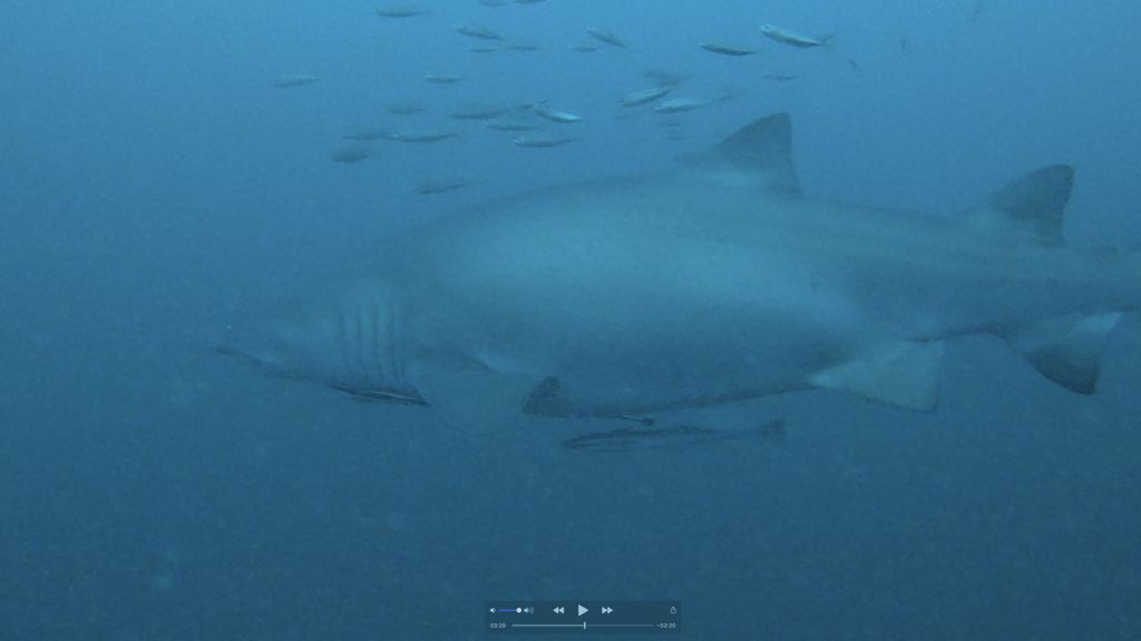 cd4a2677-168d-4ae4-a1c2-95a17a2706a7