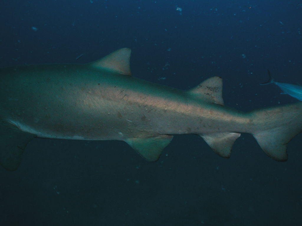 7c8c5365-5db7-423a-9d25-d756ec9ab2cb