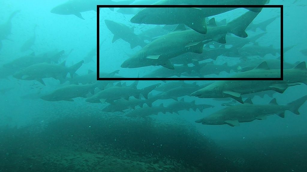 84a48bad-4fb2-4c28-a5cf-4e5be7c8ba12