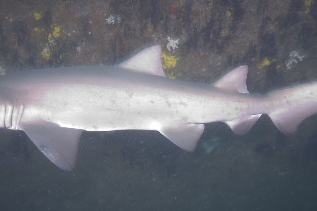 021ca79f-3fb5-4799-9362-4a2b906e5940