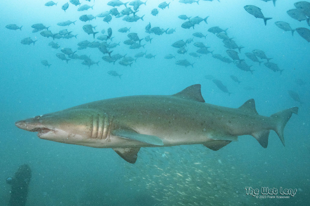 23b62b8b-a209-4763-bd95-995e6c9ca3f5