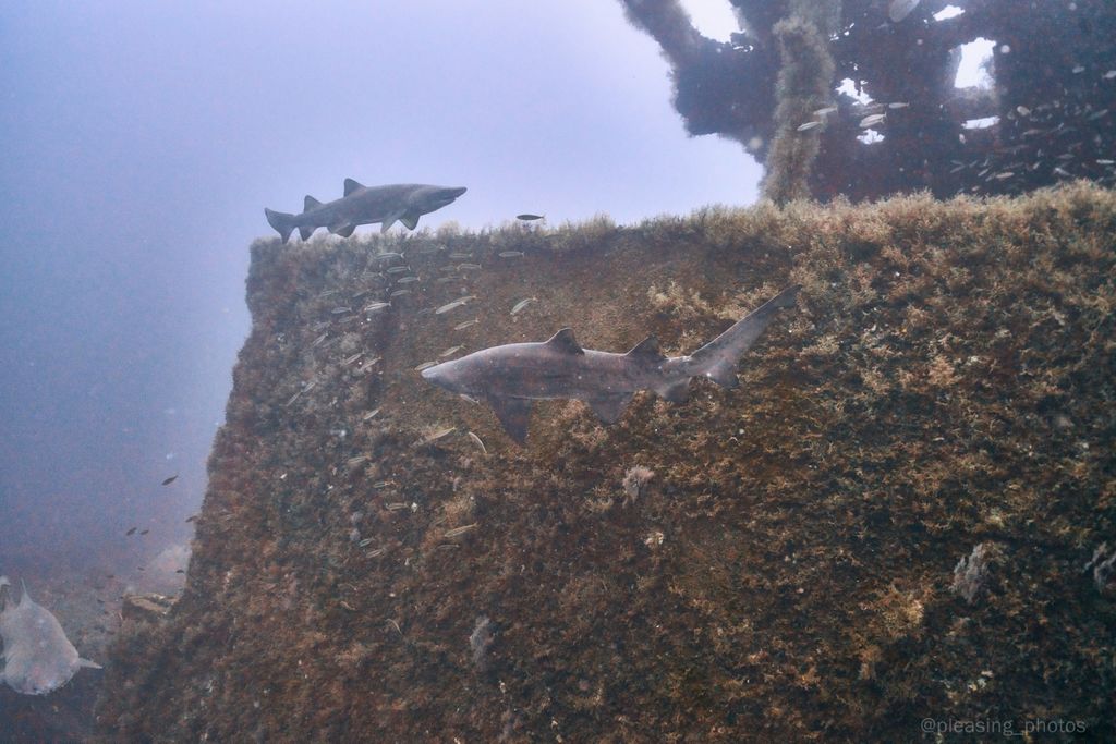 8057bd0c-dcd2-4f9e-9746-5f2d3b385541