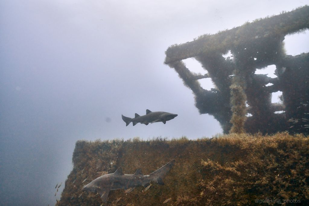 8057bd0c-dcd2-4f9e-9746-5f2d3b385541