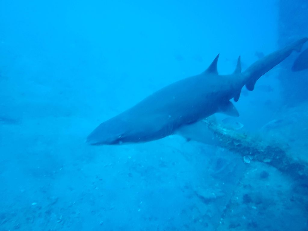 3f081a0d-d68e-430e-a974-61aae0456682