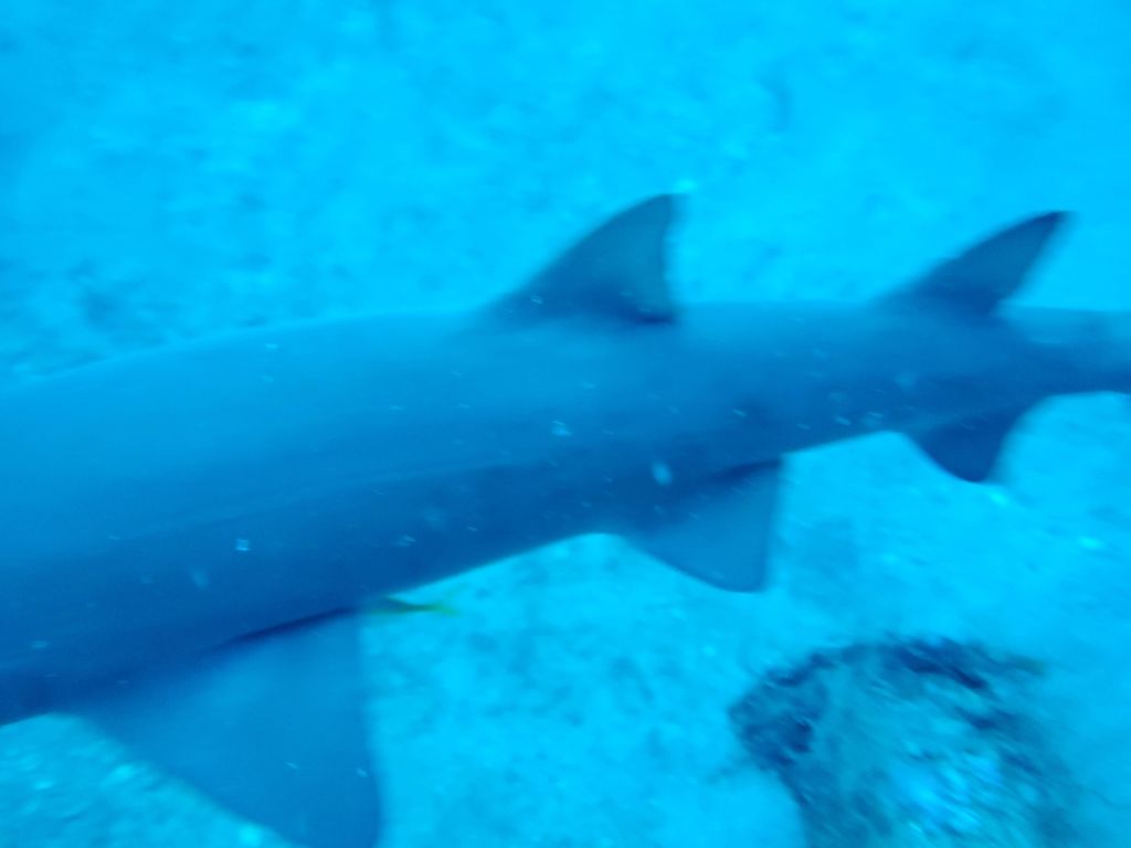 3f081a0d-d68e-430e-a974-61aae0456682