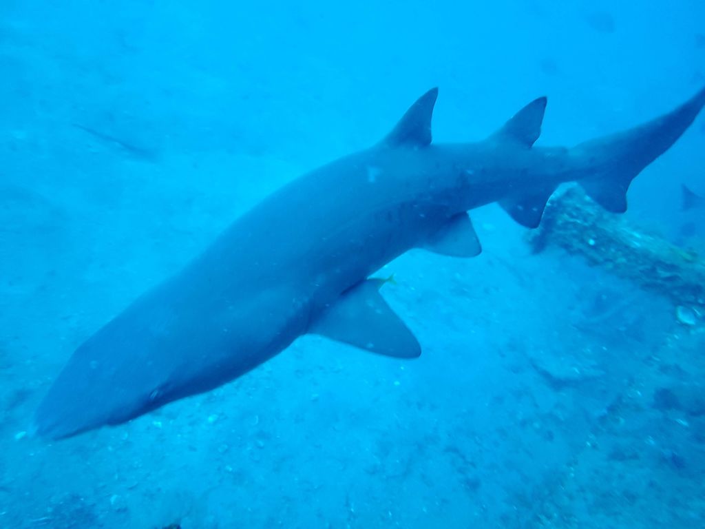 3f081a0d-d68e-430e-a974-61aae0456682