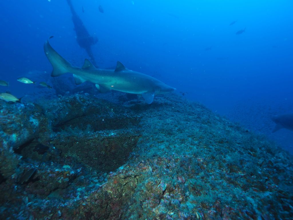 35c91c36-736e-435d-820e-01779da45aa3