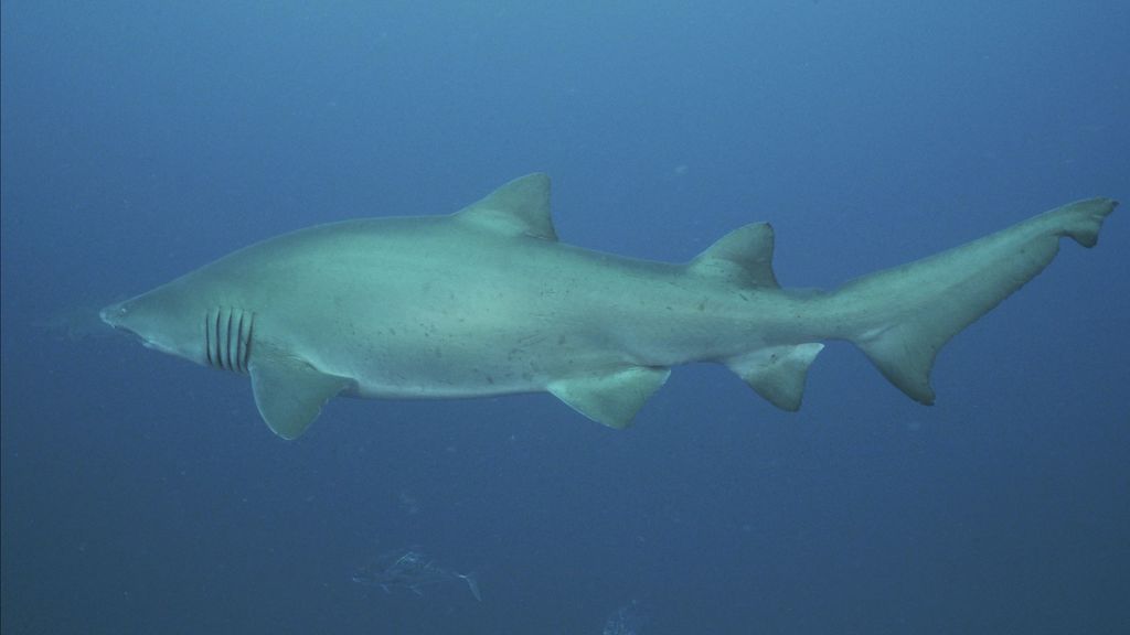 cdd522d8-86ee-4353-8360-ede41b5af201