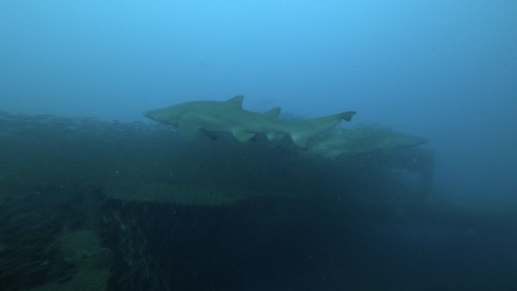 6371a989-4dd4-4fed-afef-5b8d28c0f0e0