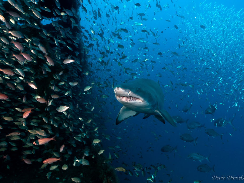 843800a2-b789-47f0-9478-34d438bdf24f