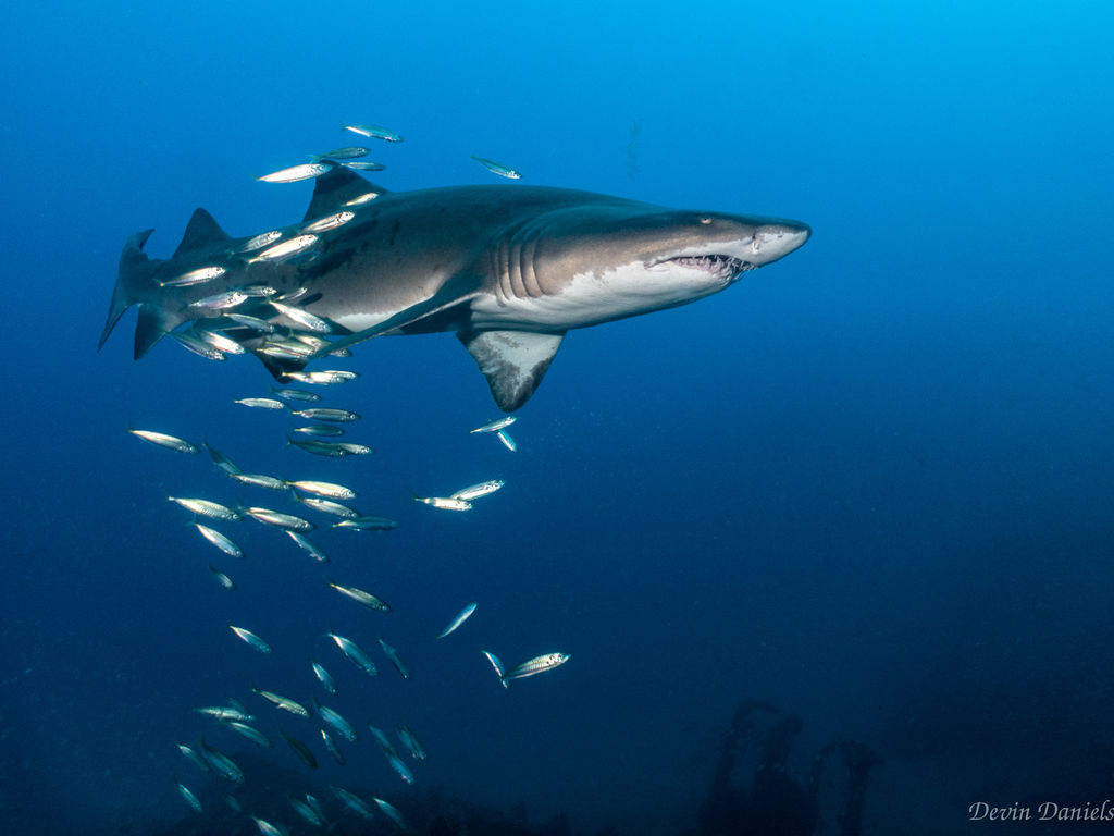 843800a2-b789-47f0-9478-34d438bdf24f