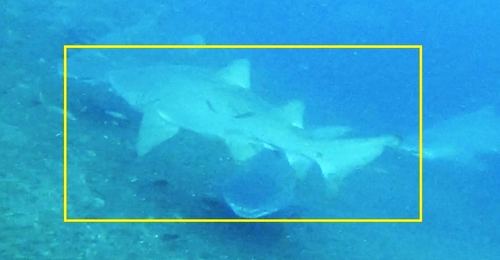 351c807b-5be1-4370-9ee9-2ee157a6e799