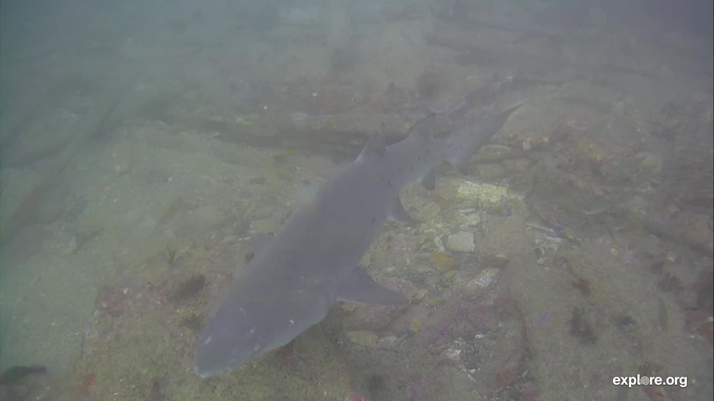 c622f0e5-0ead-4039-add2-fe273bd9dae2