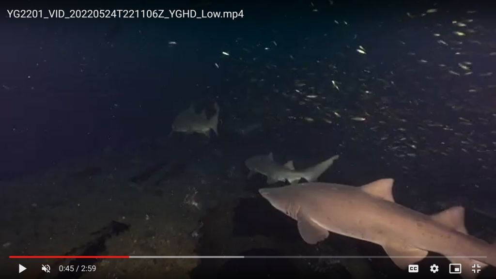 ac64c6da-28f8-466b-afc3-c463bdbe6fb7