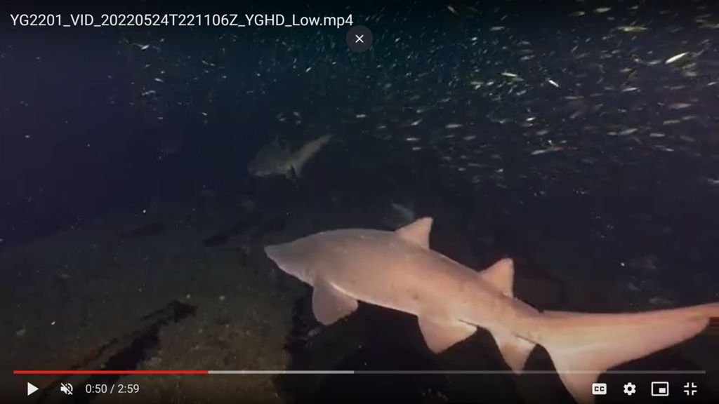 ac64c6da-28f8-466b-afc3-c463bdbe6fb7