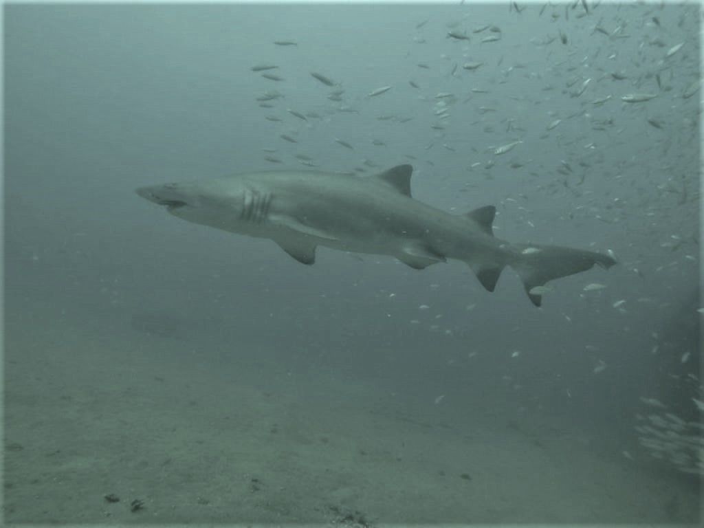 f2095960-b209-44ed-8f53-5b0983887ba6