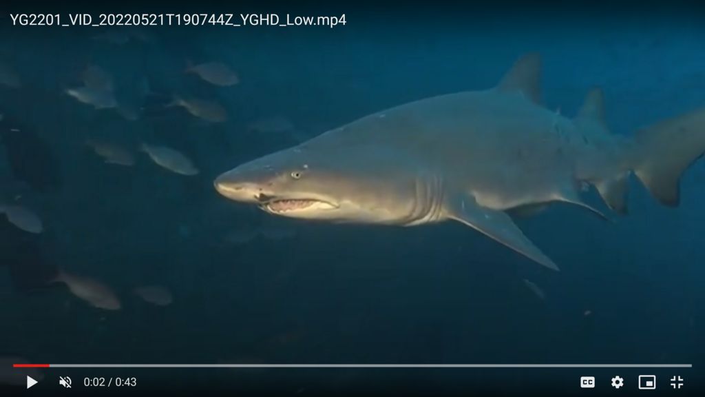 983d151e-ad1e-4b72-b2f1-d28ca7512ab5