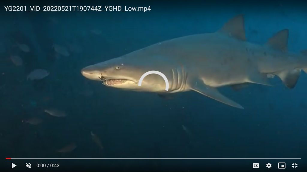 983d151e-ad1e-4b72-b2f1-d28ca7512ab5