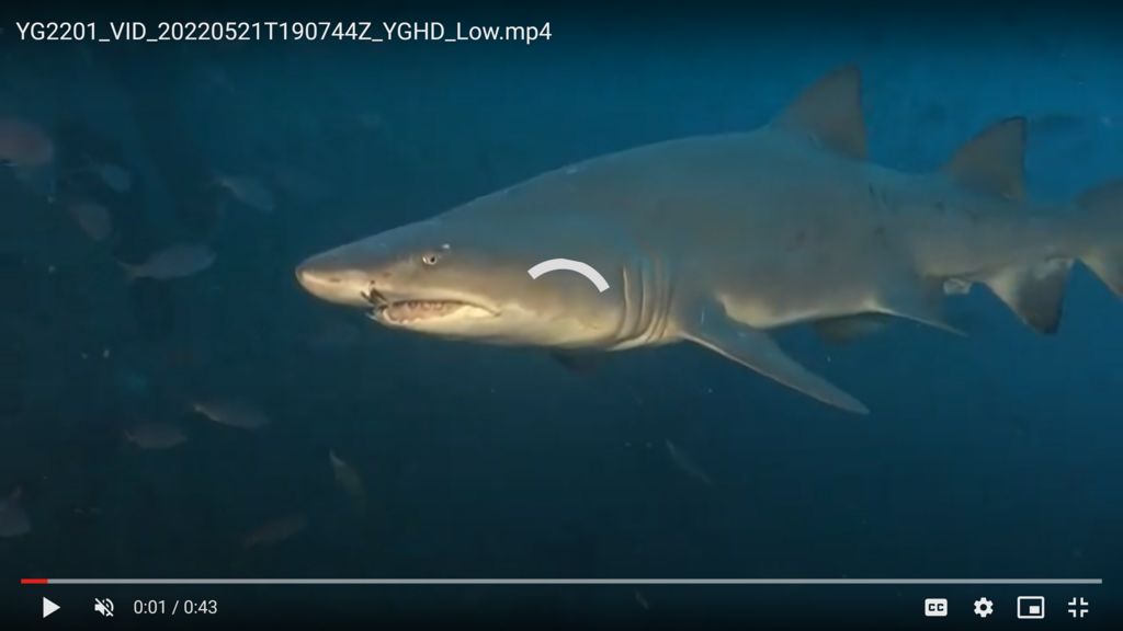 983d151e-ad1e-4b72-b2f1-d28ca7512ab5